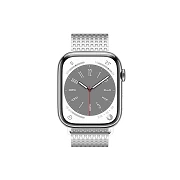 WIWU Metallarmband für Apple Watch 38/40/41 mm Silber